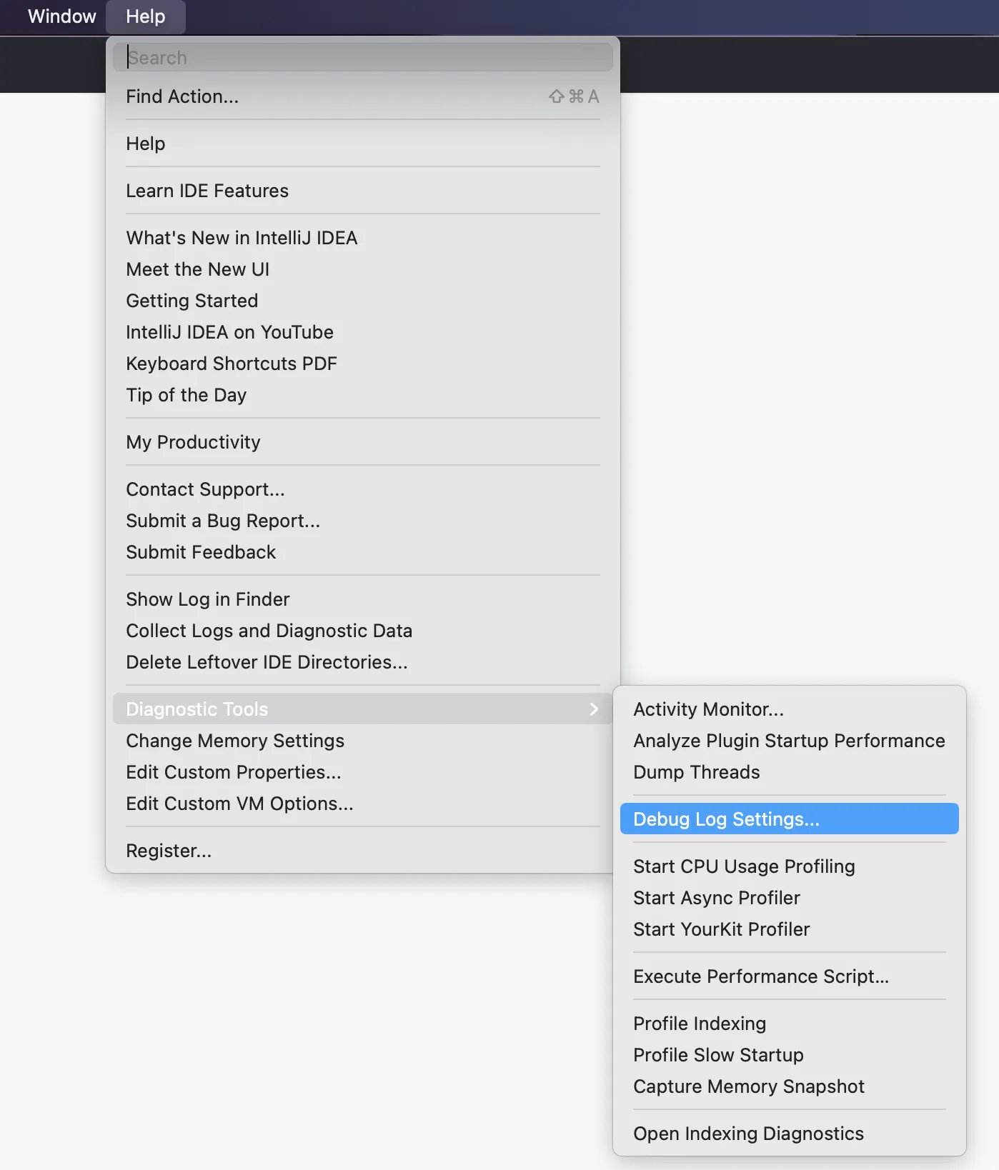 Screenshot of the menu bar in a JetBrains IDE. The "Help" menu and "Diagnostic Tools" submenu are expanded and "Debug Log Settings" is highlighted.