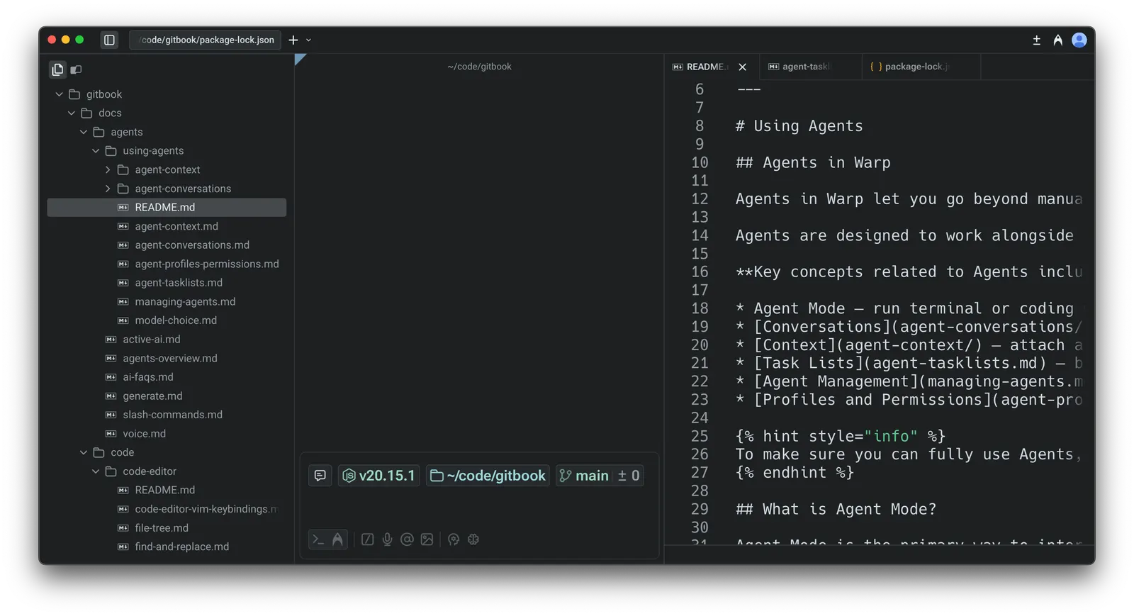 Warp's native file tree showing the project's file and folder structure in the left panel.